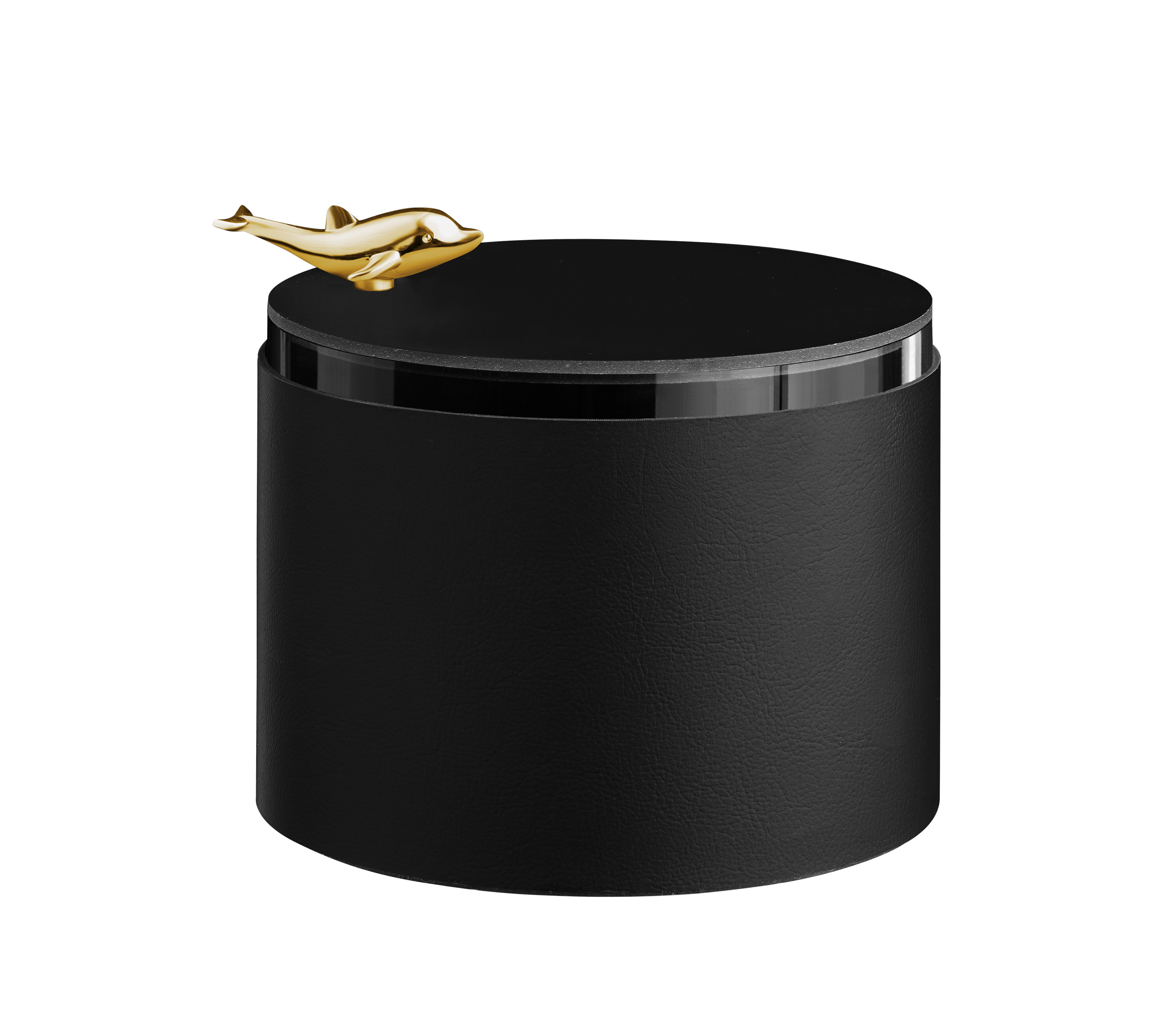 Box Dolphin Ø15хH10