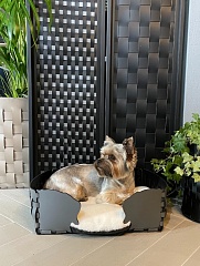 Basket Dog 45x30xH15