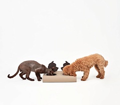 Bowls holder Dog base 40x22xH7.5