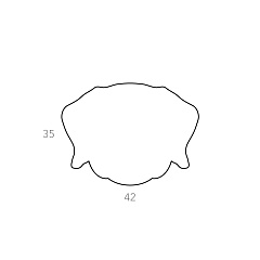 Placemat dog 47х35